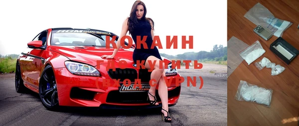 прущие грибы Горняк