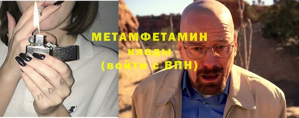 прущие грибы Горняк