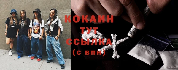 прущие грибы Горняк