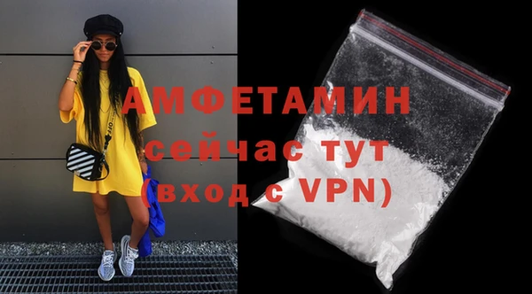 прущие грибы Горняк