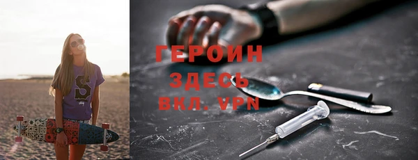 прущие грибы Горняк