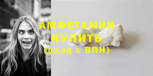 прущие грибы Горняк