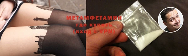 прущие грибы Горняк