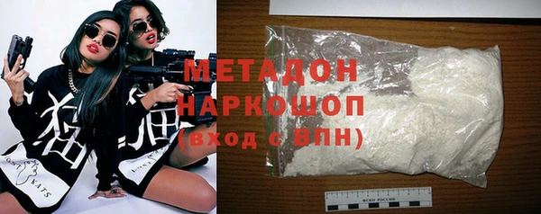 прущие грибы Горняк