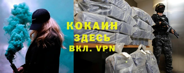 прущие грибы Горняк